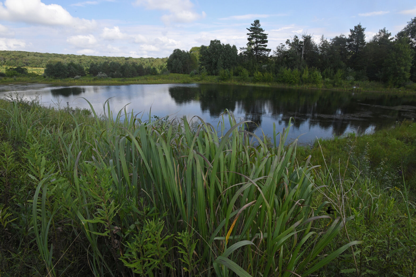Flight 93 pond